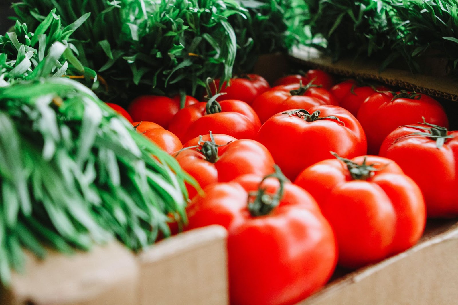 4 Rules That Define Our Nutritional Philosophy