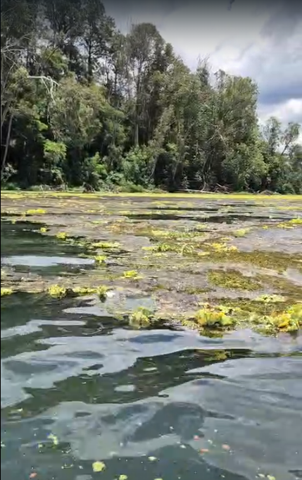 O futuro do Lago Paranoá exige mais debates