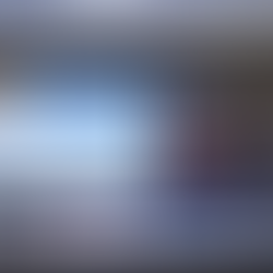 Curso Entenda o Sinisa teve 99 participantes no primeiro dia