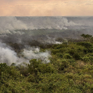 Pantanal poderá ter crise hídrica histórica em 2024, aponta estudo