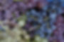 _M9A5701_edited.jpg