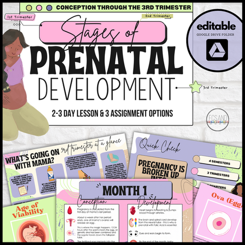 Pregnancy & Fetal Development: Lesson & 3 Assignment Options | FCS and ...