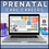 Thumbnail: Careers in Prenatal Care