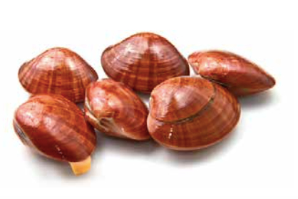 Fasolari 1/2guscio Adriatico 300gr