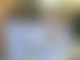 Feria Científica 2025: Creatividad, descubrimiento y aprendizaje en cada nivel académico