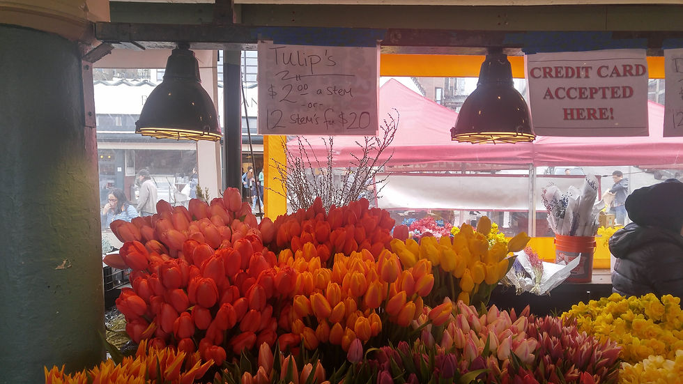 20180324_103727_HDR