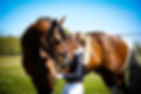 LM COURTAGE CHEVAUX.jpeg