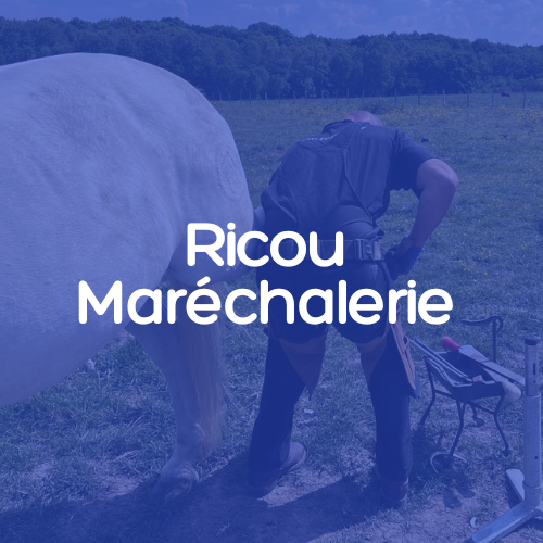 Ricou Maréchalerie