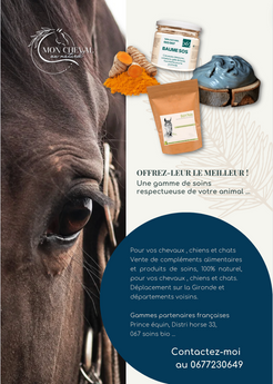 BROCHURE MON CHEVAL AU NATUREL
