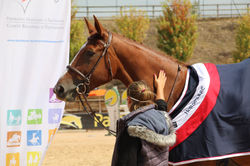 coralie écuries d'aoste concours