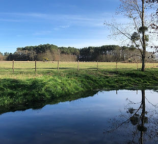 campagne.jpeg