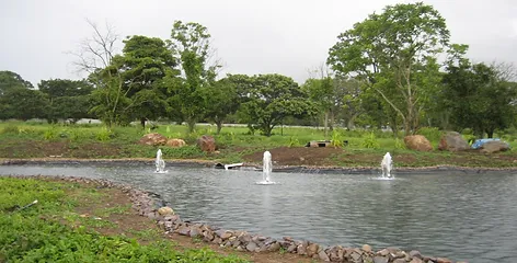 Lago Decorativo Hacienda