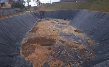 Proyecto Traesa