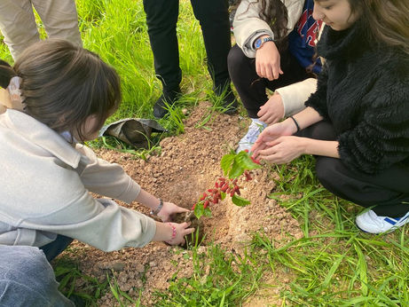 SEEing Sustainability