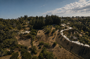 wide-view-flipped.png
