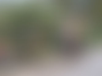 Via Rhona 2024 - Tag 7 (Bonus Track)