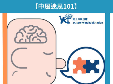 【中風迷思101】大腦不同區域有什麼功能?