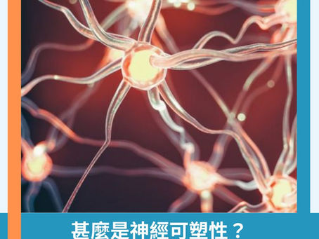 【中風迷思101】甚麼是神經可塑性?
