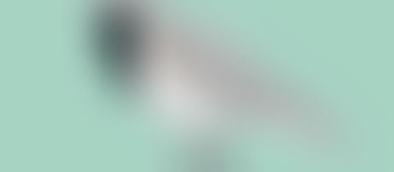 O LACCOPS e a Educação