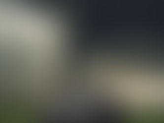 What The Storm Left Behind