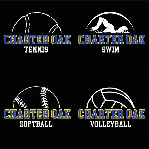 Thumbnail: Dry Fit Long Sleeve Ball Design