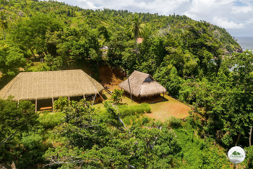 Kalinago Barana Aute