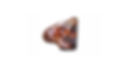 Ocarina New.jpg