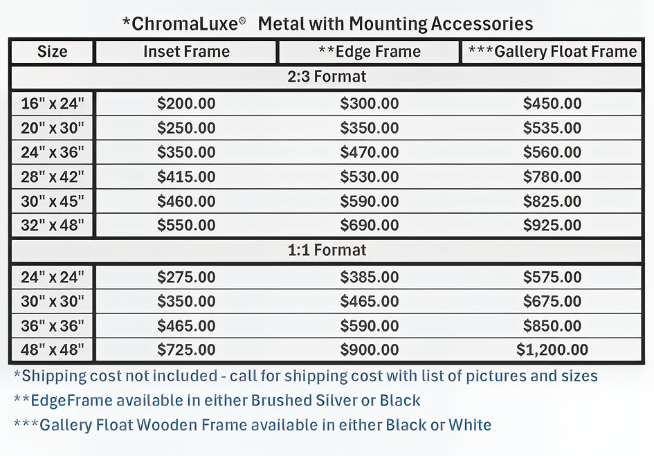METAL PRICING-Resize.jpg