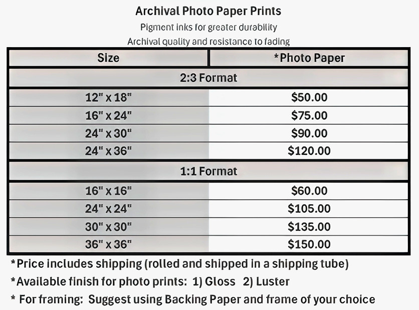PHOTO PAPER PRICING-Resize_edited.jpg