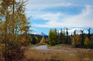 Beautiful Landscape from the U.S.