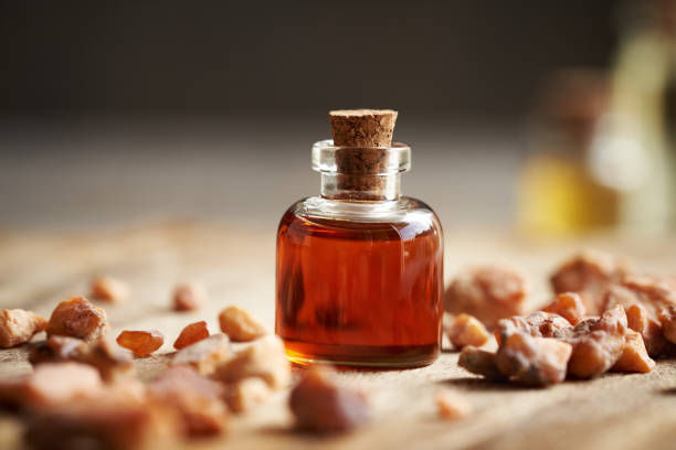 Thumbnail: Dog Shampoo for Fleas, Ticks and Midges
