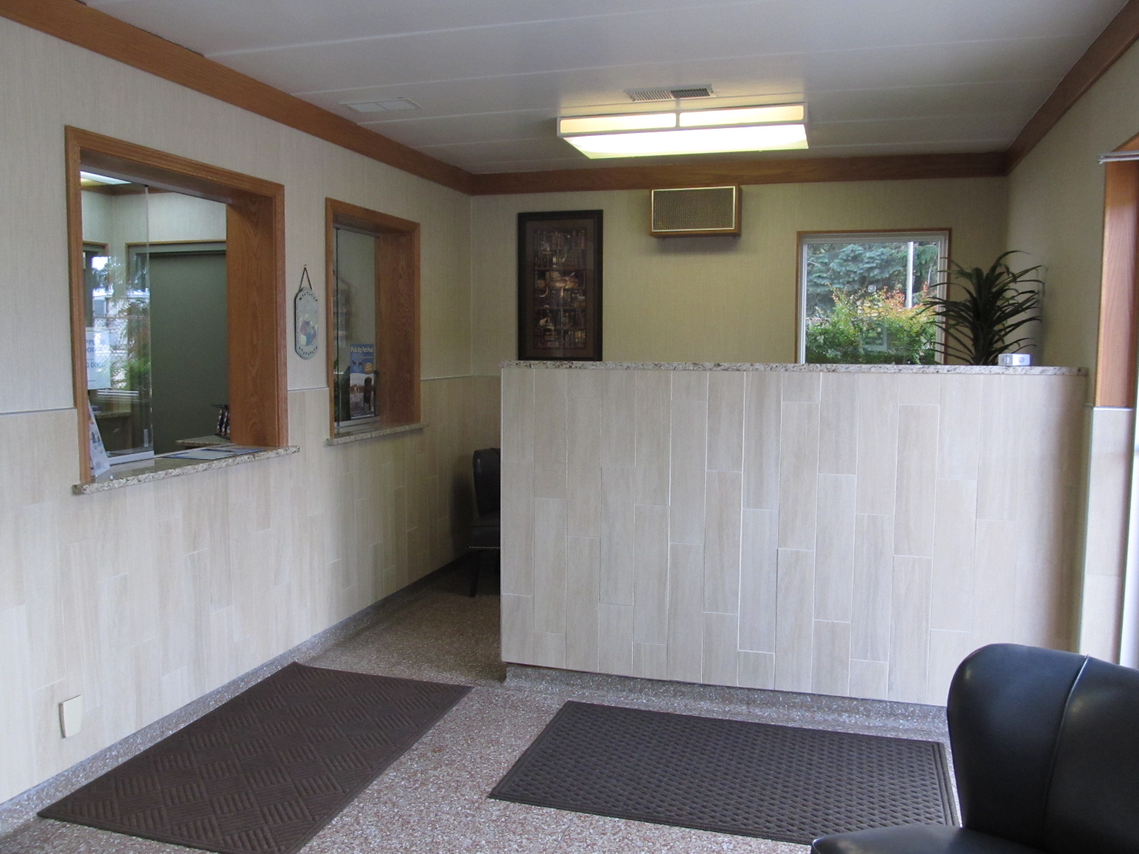 Cat Area