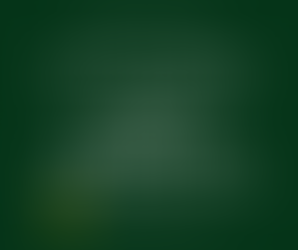 호주텍스리턴:: 호주 텍스파일넘버 (TFN)를 분실했을 경우 어떻게 해야하나요?