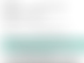 Wells Fargo - Intern Analyst