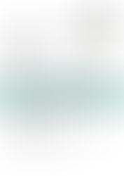 US BB Bank - Summer Analyst Finance Division 2024