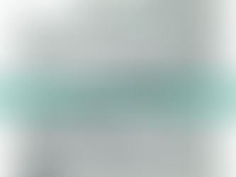 HKMA - Summer Internship 2024