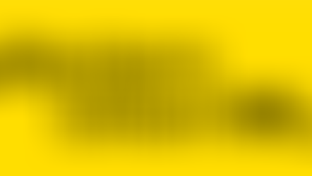 Western Union-Specialist