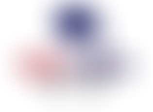 Modern Bachelor Education-Management Trainee