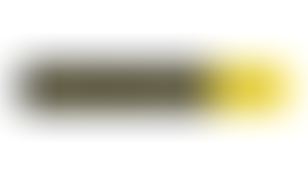 Western Union Business Solutions-Specialist