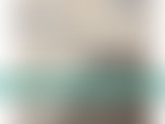 Shanghai Commercial Bank - Risk Management - Intern