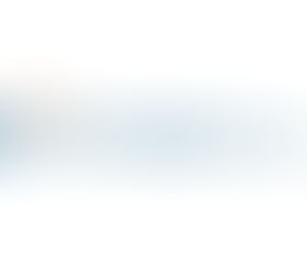 Blue Umbrella Limited-Analyst