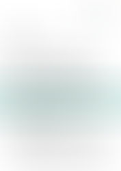 Bank of China - Operations - Summer Internship