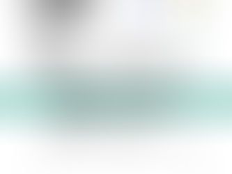 Houlihan Lokey FVA Internship 2024