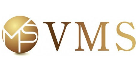 VMS Investment Group Limited-Assistant Accountant
