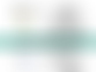 BNP Paribas Securities Services Intern 2024