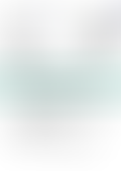 Deutsche Bank - Private Bank - Summer Internship