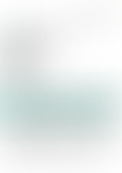 BNP Paribas - Summer Internship