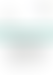 Deloitte - Valuation Analyst 