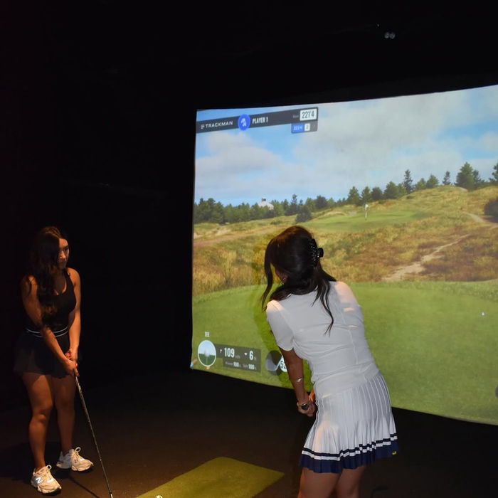 Ladies playing virtual golf