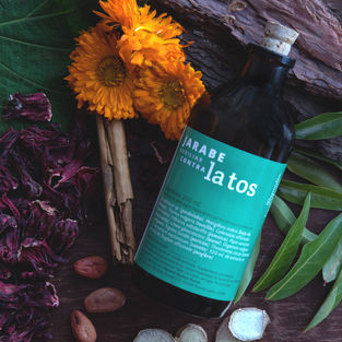 Diseño de branding que incluye